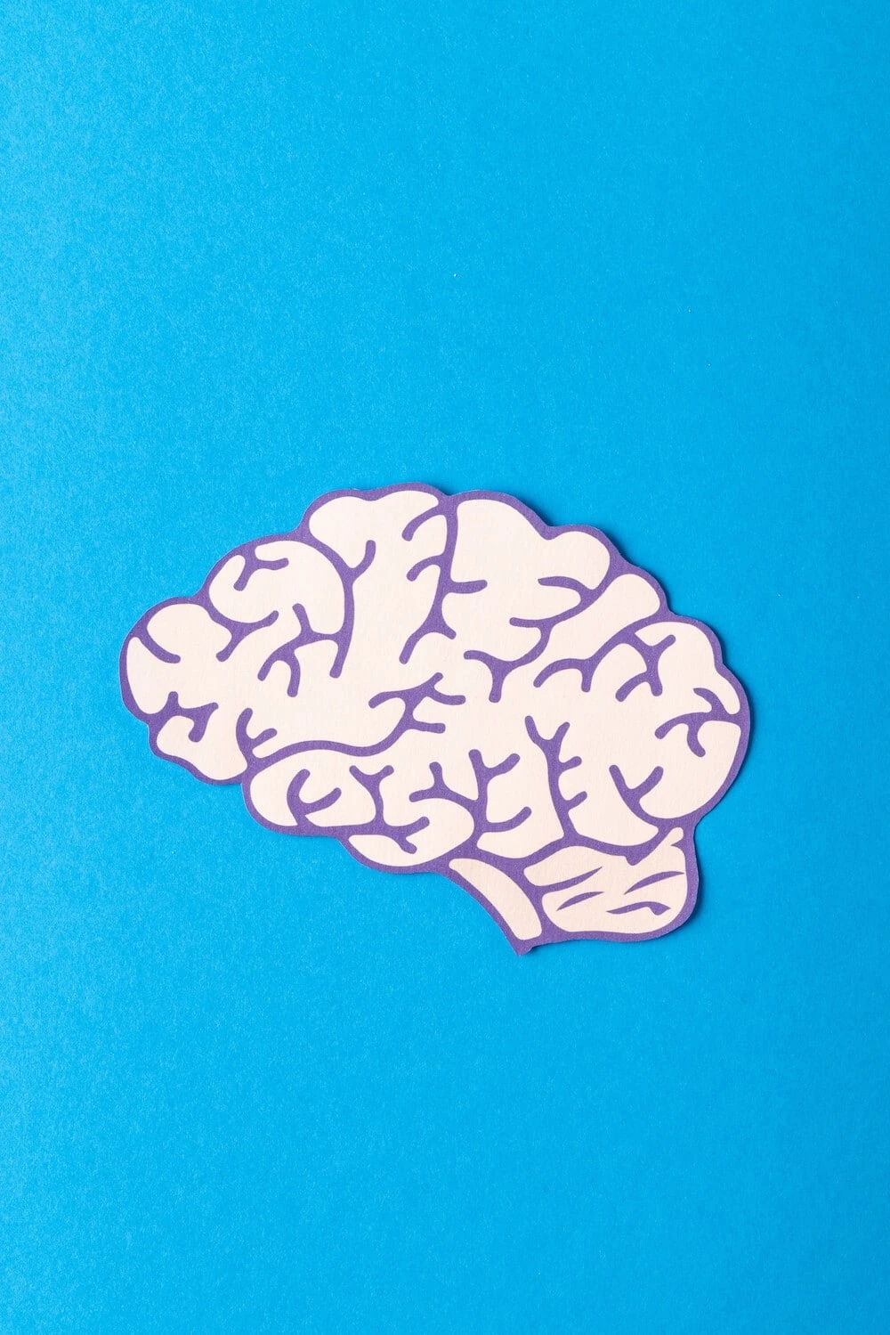 neurology billing-services florida usa